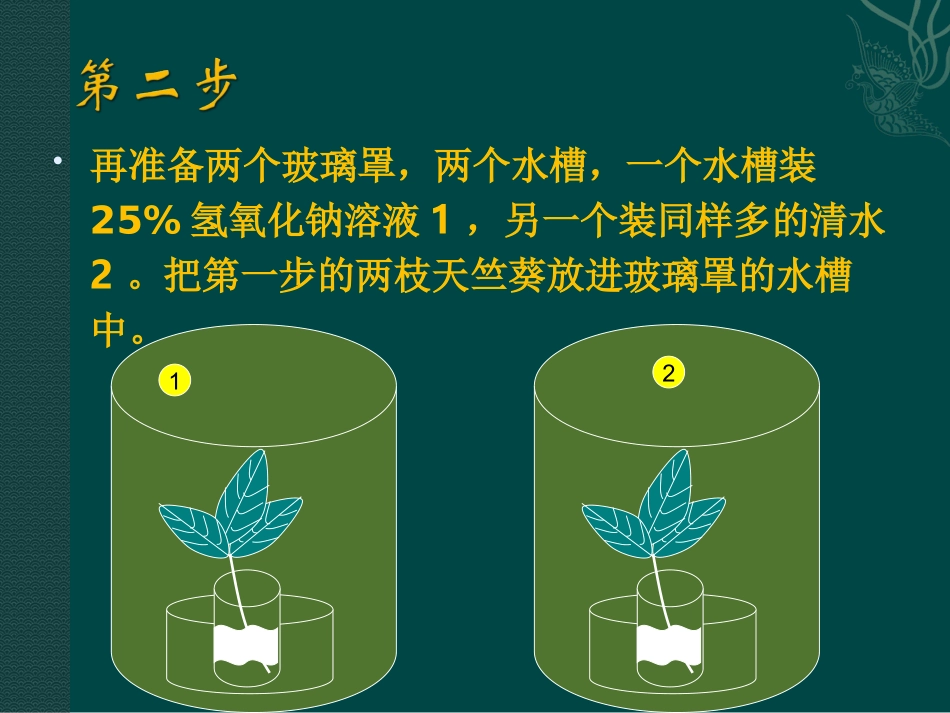 二氧化碳是光合作用必需的原料吗_第3页
