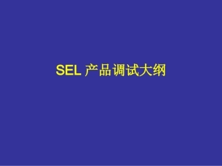 SEL调试大纲