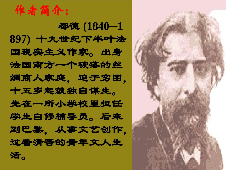 最后一课-(2)_第3页