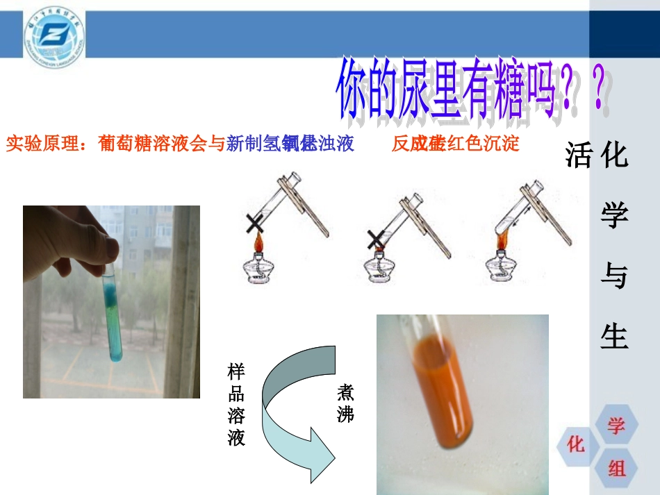 校本化学与生活四油_第1页