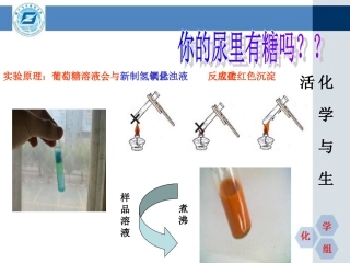 校本化学与生活四油