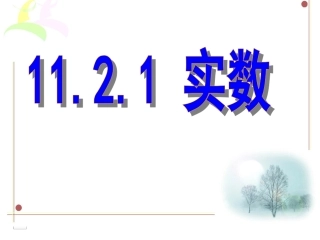 1121实数