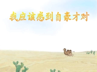 我应该感到自豪才对PPT