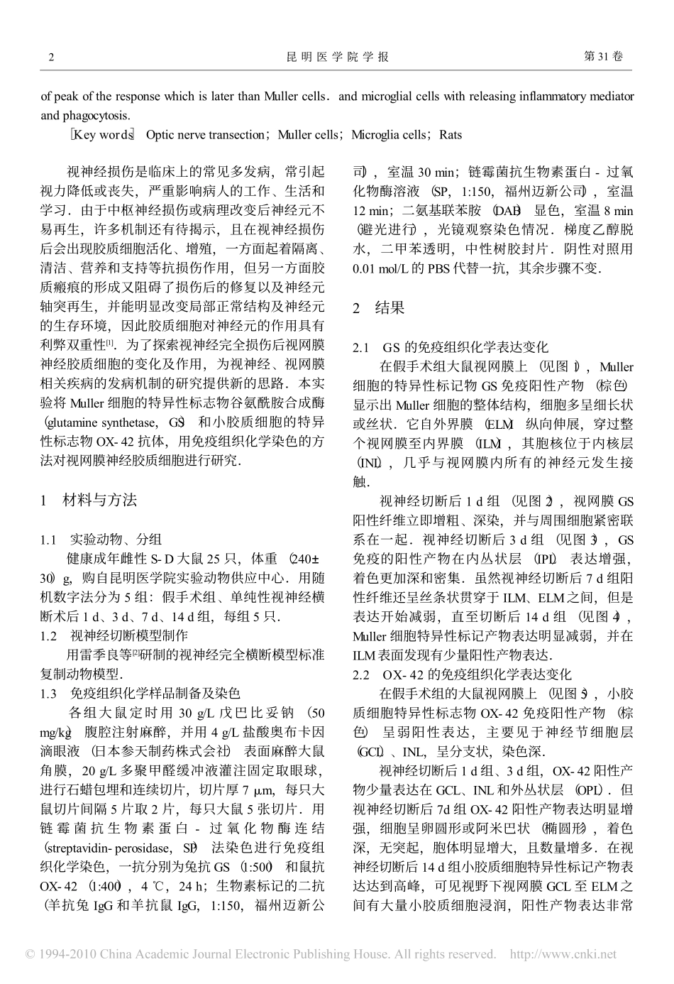 大鼠视神经切断后视网膜Muller细胞及小胶质细胞变化特点_第2页