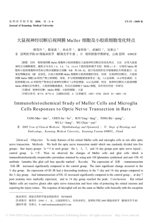 大鼠视神经切断后视网膜Muller细胞及小胶质细胞变化特点