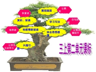 苏教版三上语文第二单元知识树