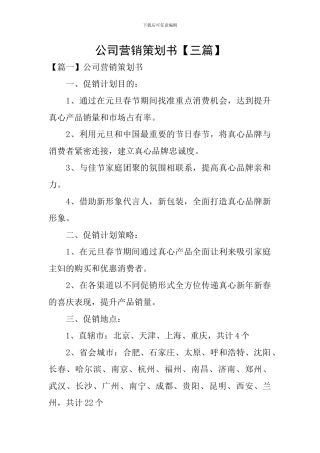 公司营销策划书