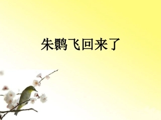 朱鹮飞回来了