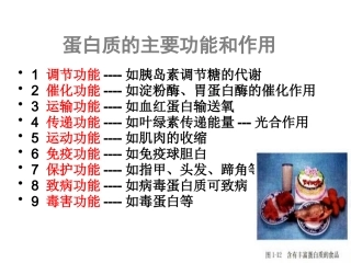 第二节-重要的体内能源——油脂
