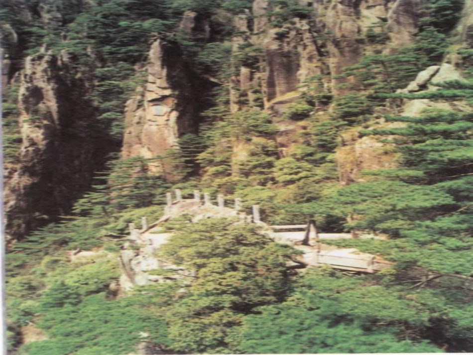 小学语文三年级课件-爬天都峰_第2页