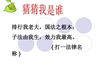 宪法是国家的根本大法-(2)