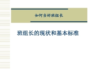 班组长的现状和基本标准2013