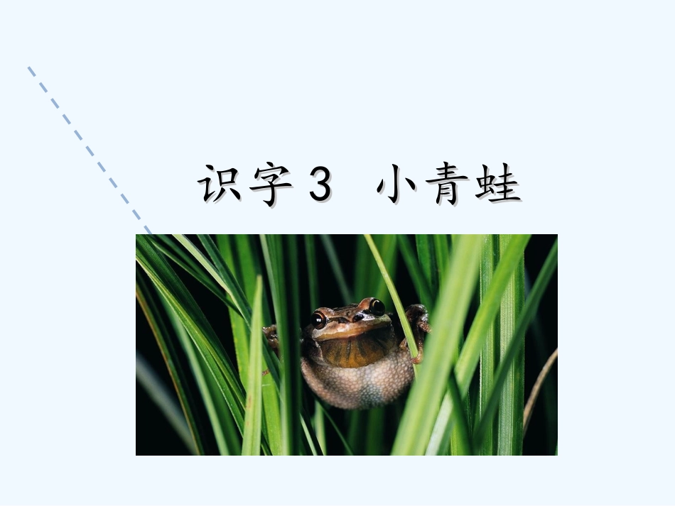 (部编)人教语文2011课标版一年级下册3小青蛙-(2)_第3页