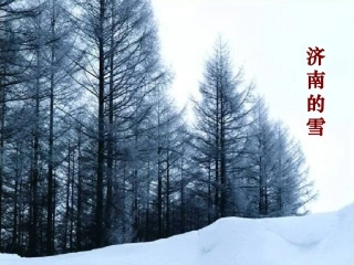 十六----济南的冬天