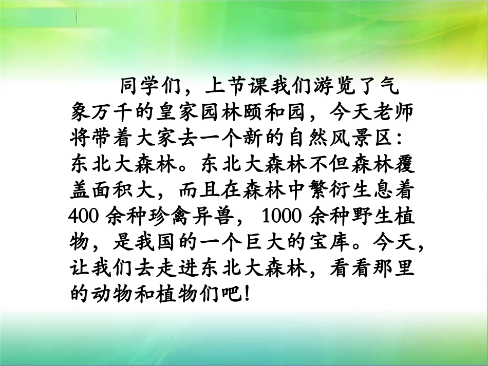《东北大森林》课件2_第2页