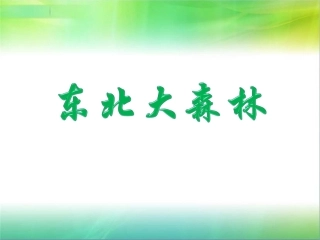 《东北大森林》课件2
