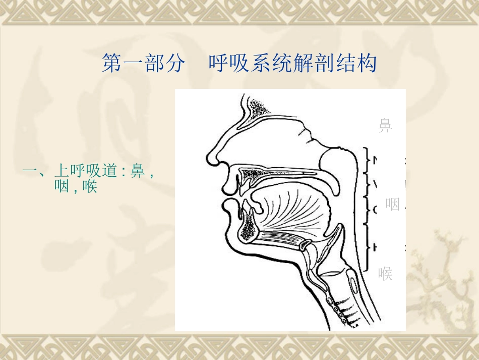 respiratorysymptom_第2页