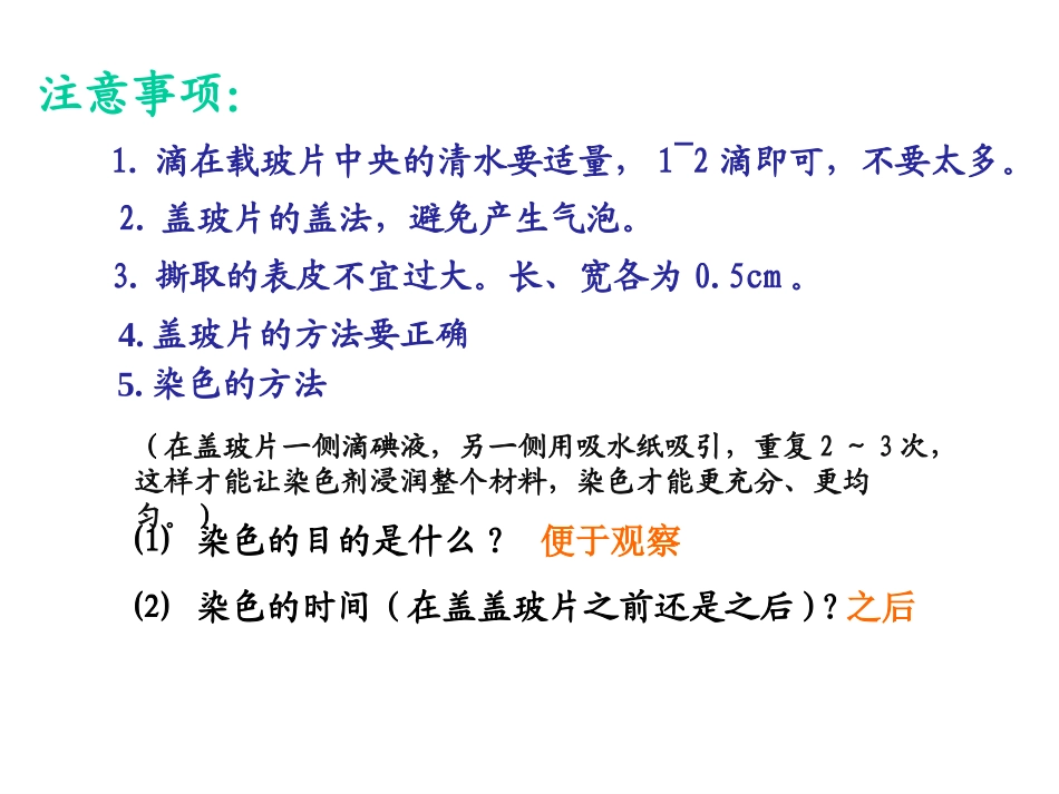 3.1植物细胞的结构和功能_第3页