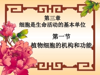 3.1植物细胞的结构和功能