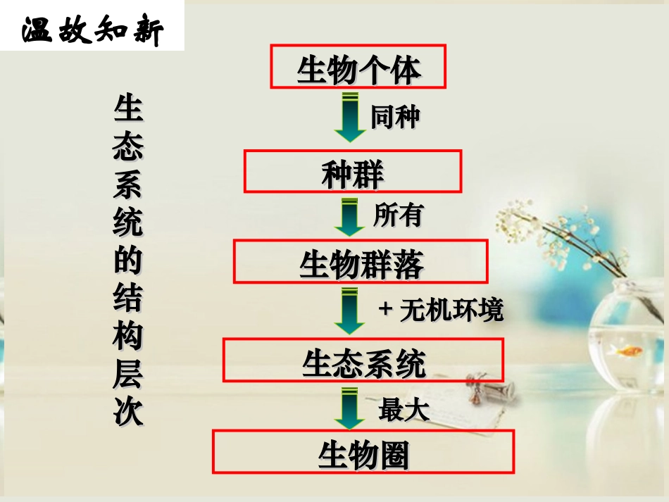 生态系统的结构_第2页