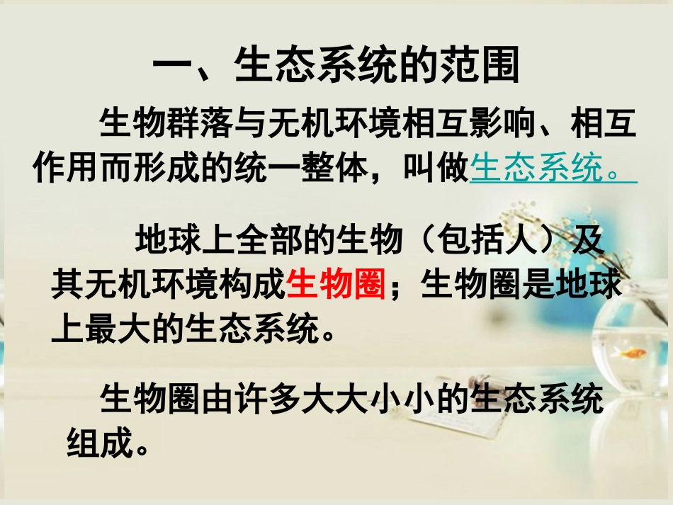 生态系统的结构_第3页