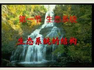 生态系统的结构