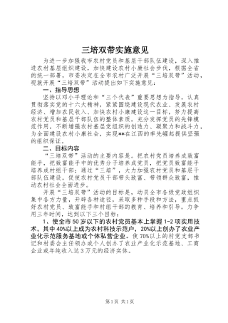 三培双带实施意见