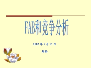 FAB竞争分析