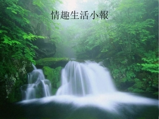 情趣生活小报