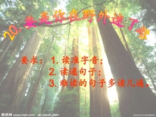 20.《要是你在野外迷了路》