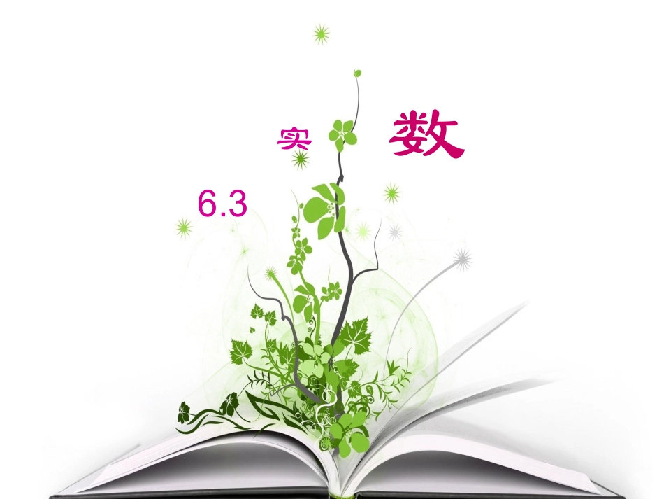 实数.3实数_第1页