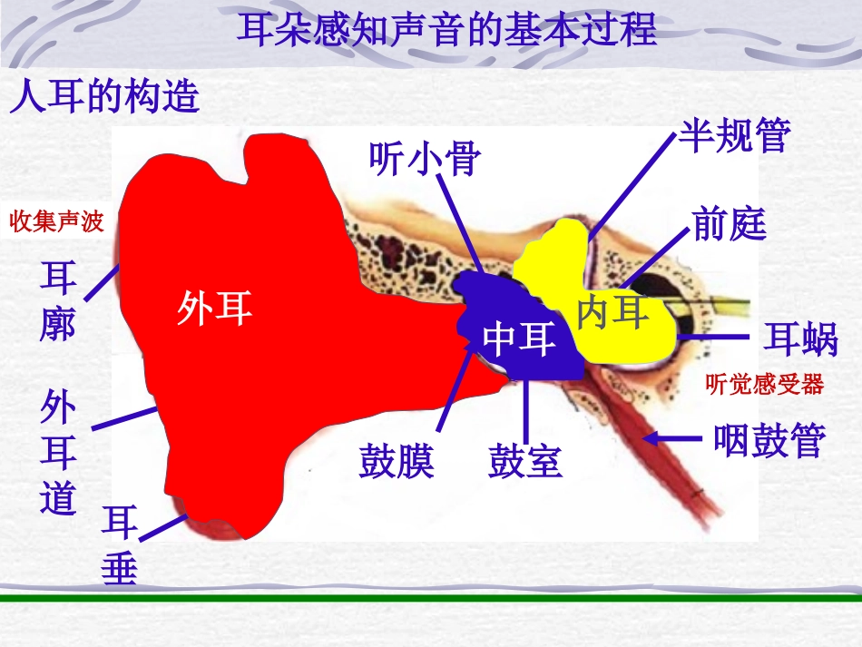 感知声音的过程_第3页