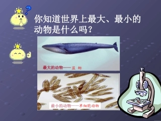 单细胞生物课件