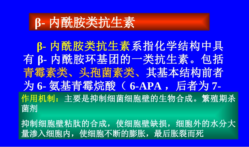 B-内酰胺类_第1页