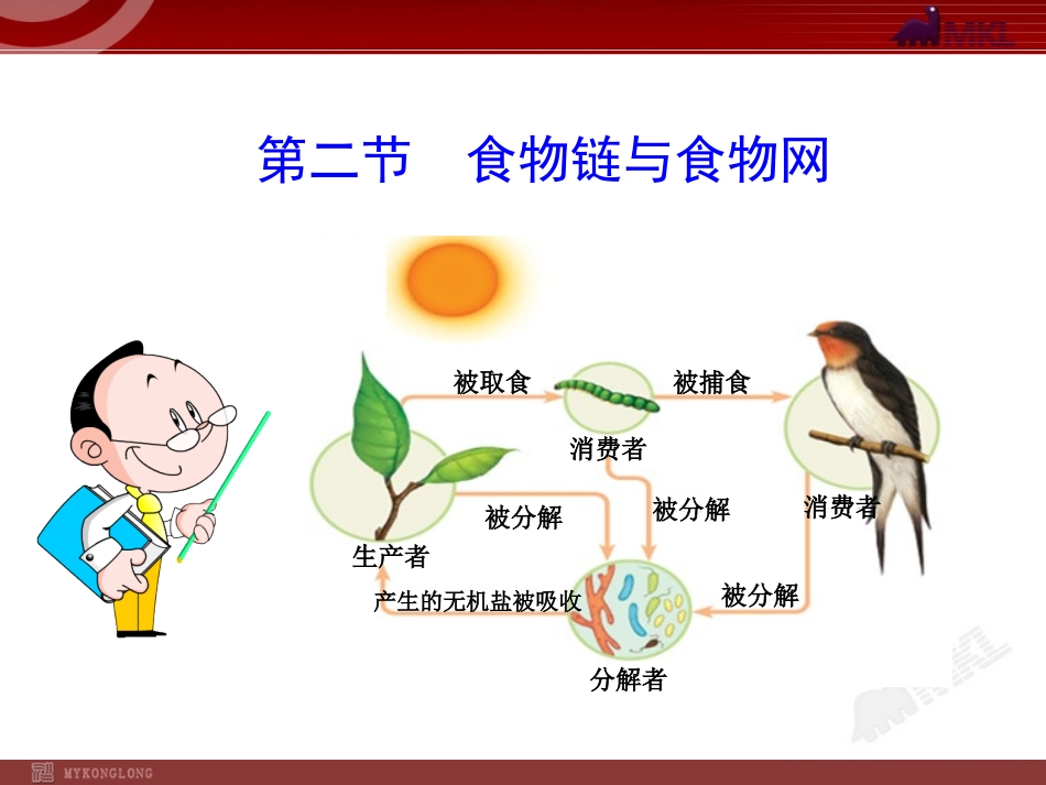 食物链与食物网_第1页