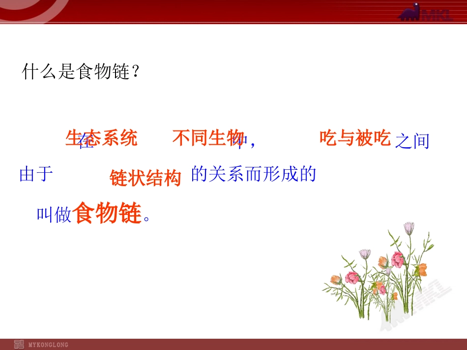 食物链与食物网_第3页