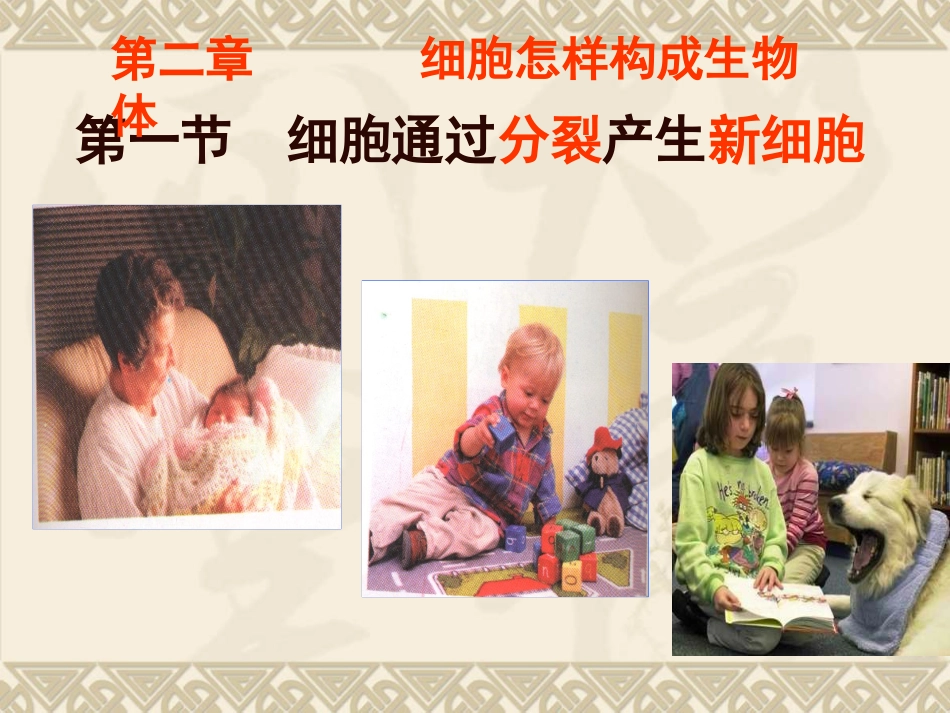 初中一年级生物上册第二单元-生物体的结构层次-第二章第一节-细胞通过分裂产生新细胞课件_第3页