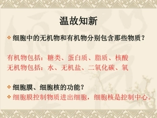 初中一年级生物上册第二单元-生物体的结构层次-第二章第一节-细胞通过分裂产生新细胞课件