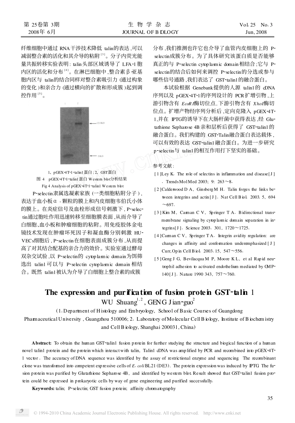 GST_talin1融合蛋白的原核表达及纯化_第3页