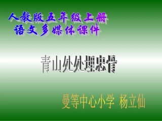 青山处处埋忠骨-(2)