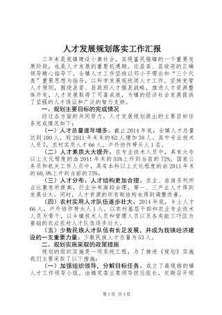 人才发展规划落实工作汇报