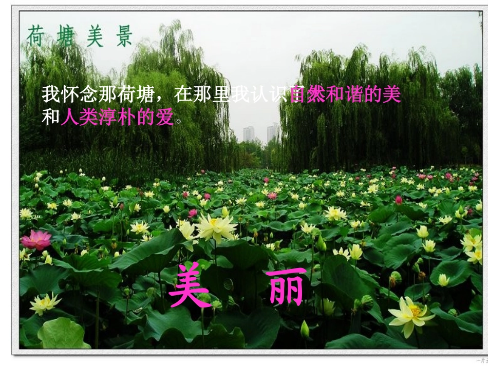 荷塘旧事(6)_第2页