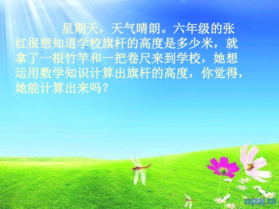 比例的意义PPT_第2页