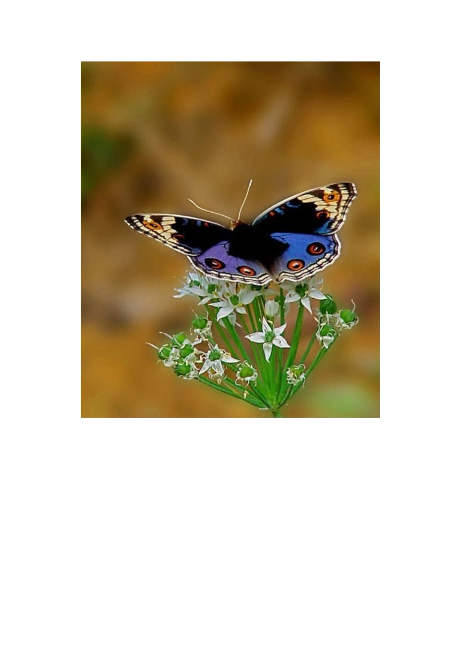 帮助孩子摆脱厌学的对策与方法2014_第3页