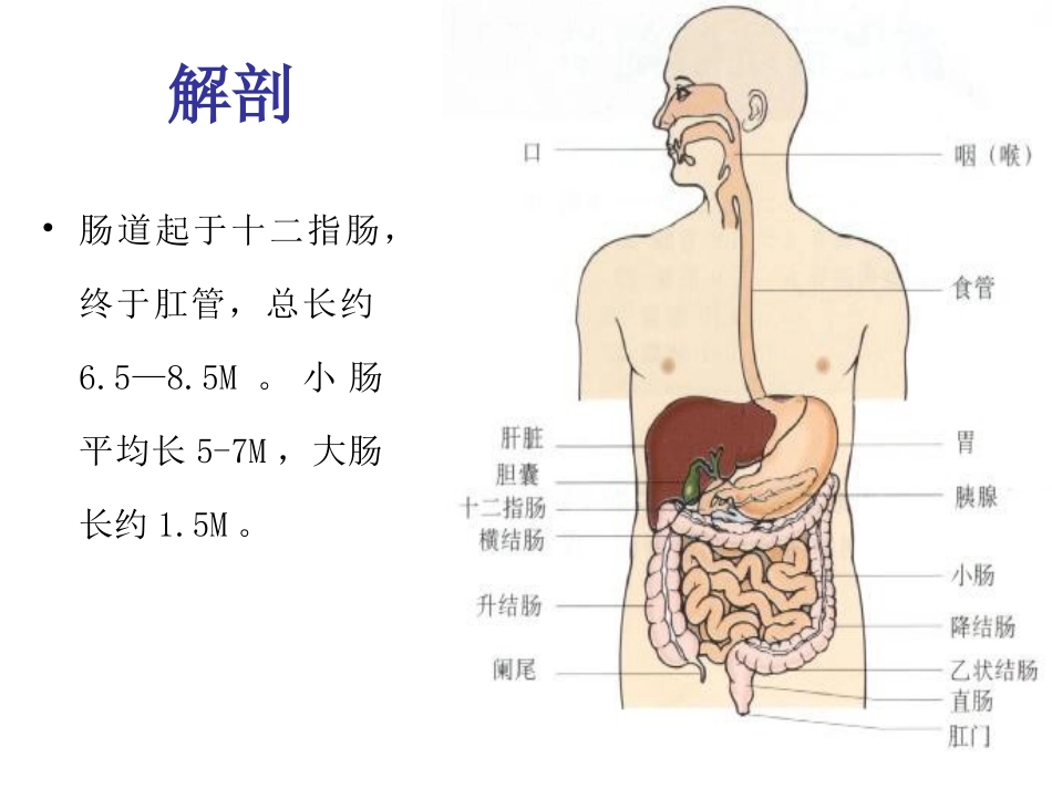 肠梗阻lcp143-14_第3页