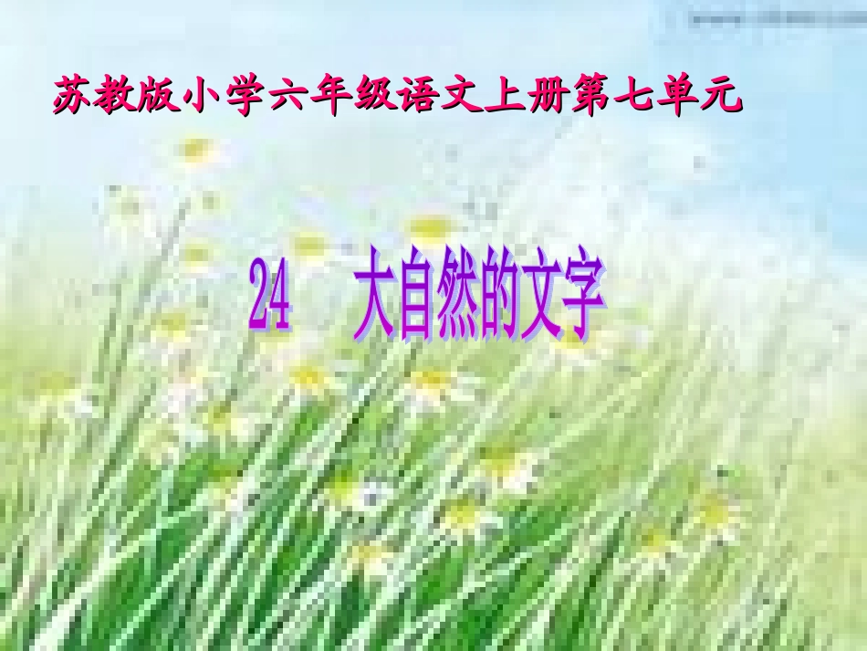 24《大自然的文字》课件_第1页