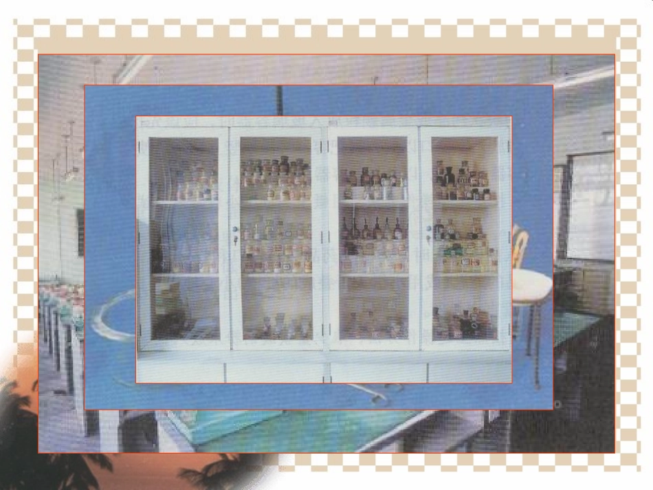 第一单元课题3、《走进化学实验室》_第2页