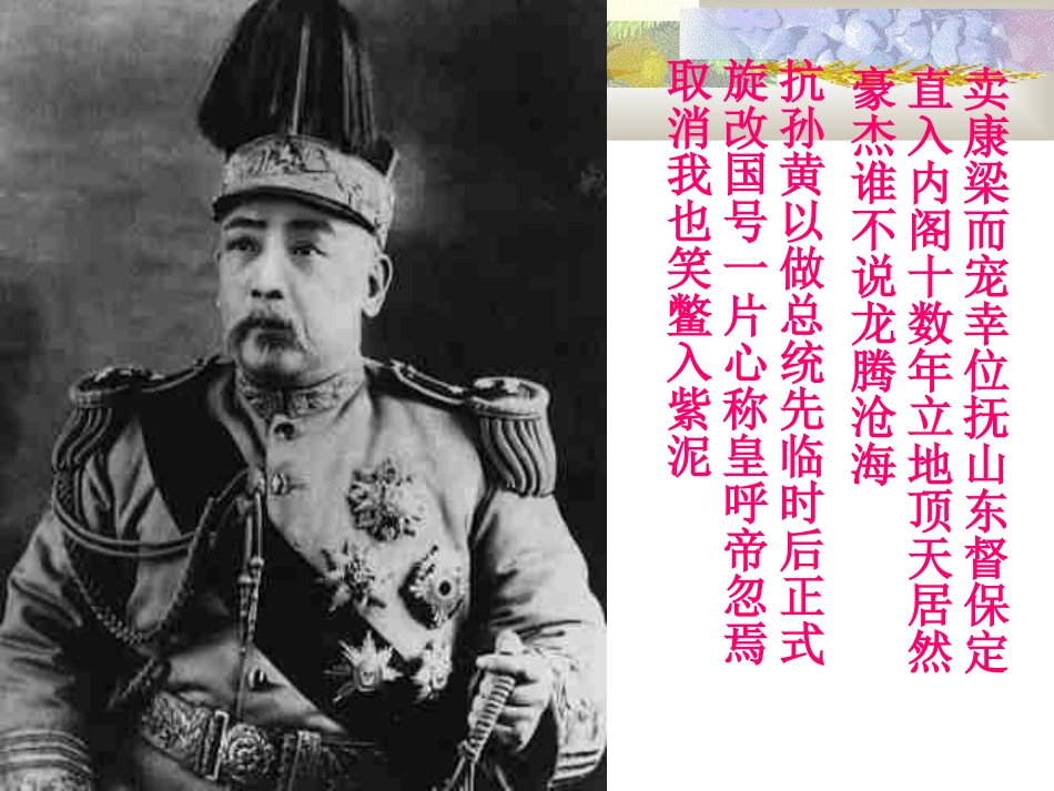 中华民国的成立_第2页