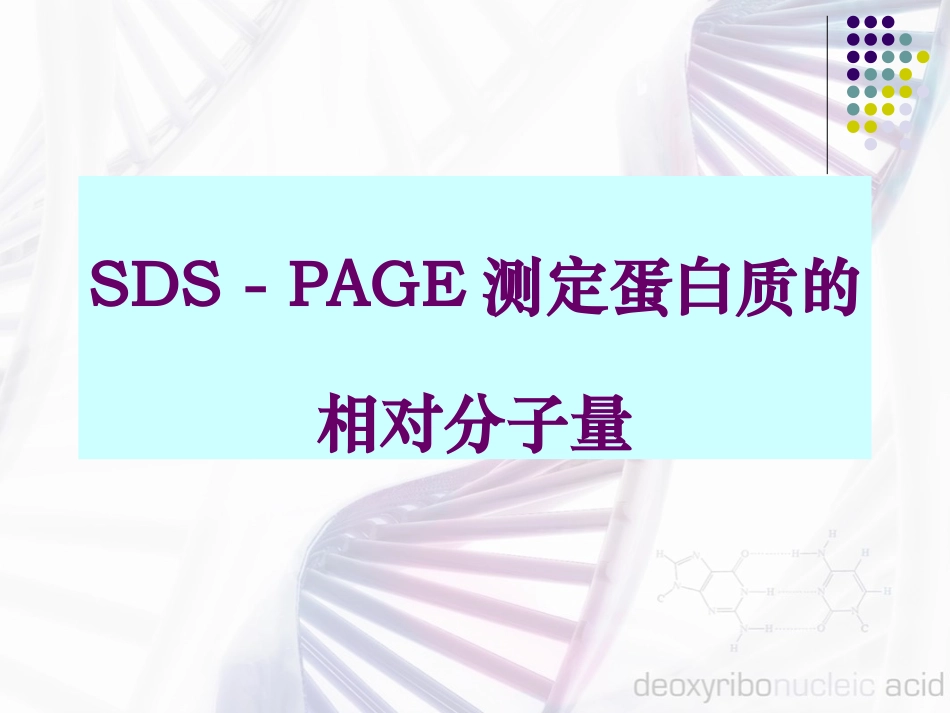PAGE测定蛋白质的相对分子量_第1页