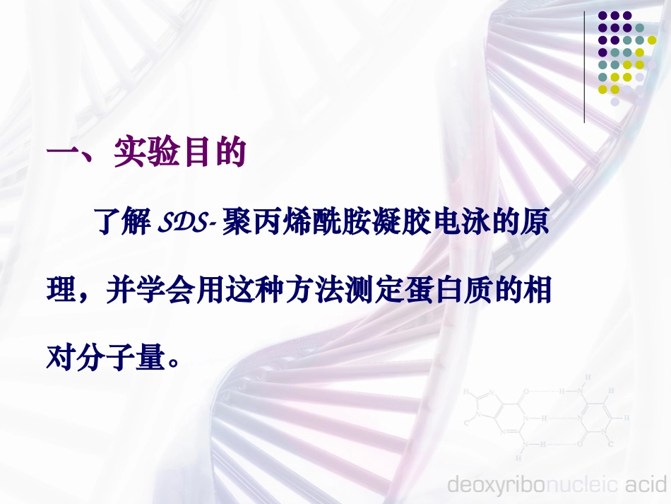 PAGE测定蛋白质的相对分子量_第2页